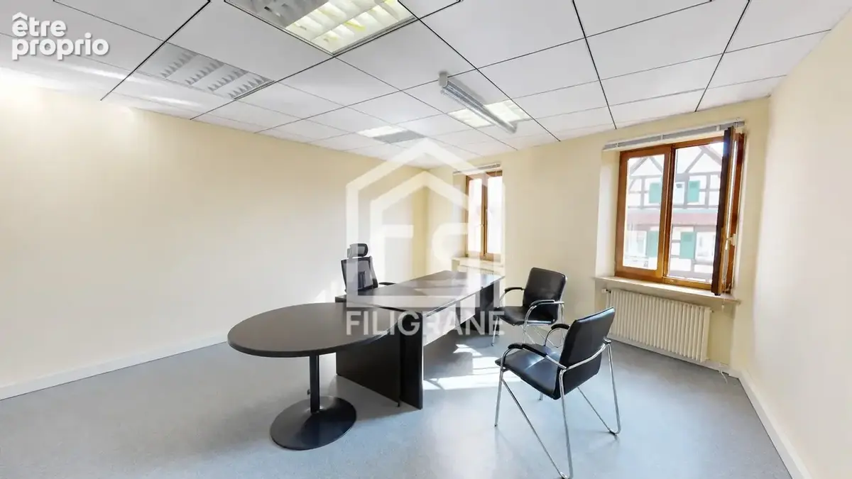 Commerce 169 m² à vendre à Saessolsheim (67270) - photo 9
