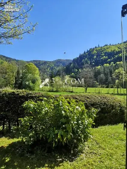 Chalet  de Caractére   + 5000 M2 Terrain Saint Maurice sur M - photo 15