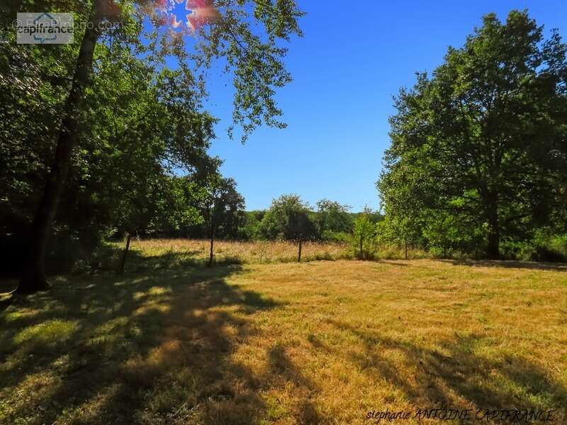 Maison à vendre 4 pièces BUGNEIN (64) - photo 14