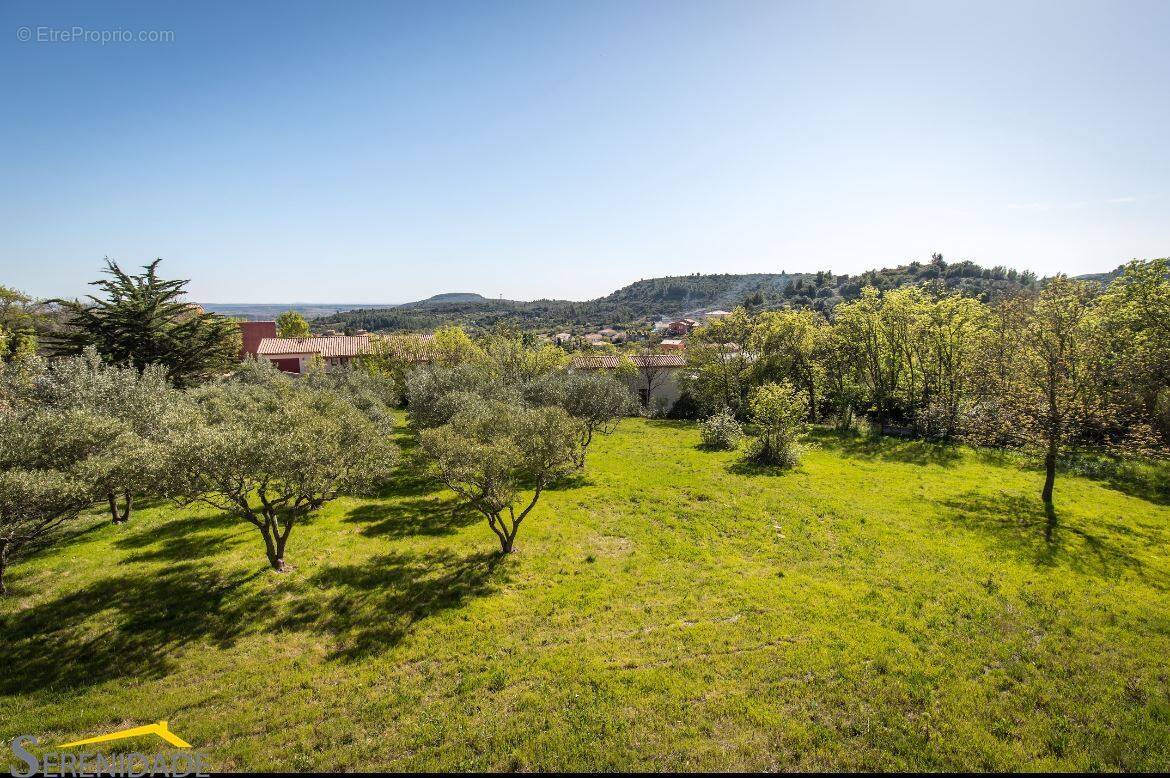 Terrain 2657 m² à Pezenas  - photo 2