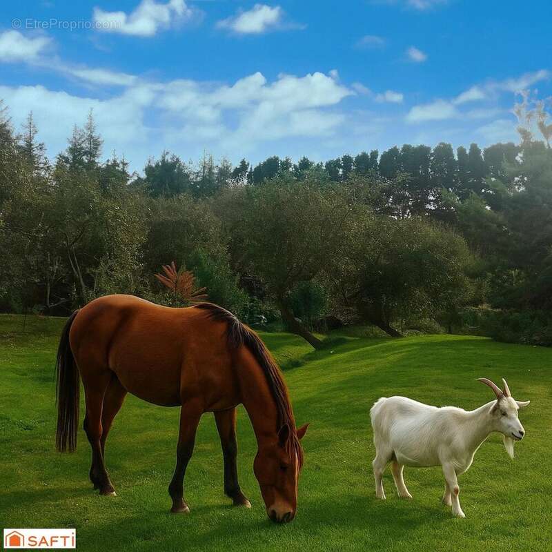 Photo 3 - Maison à PLOUEGAT-MOYSAN