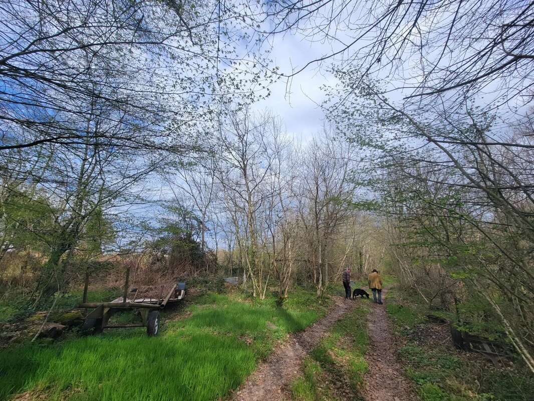 Terrain à LE CHAUTAY