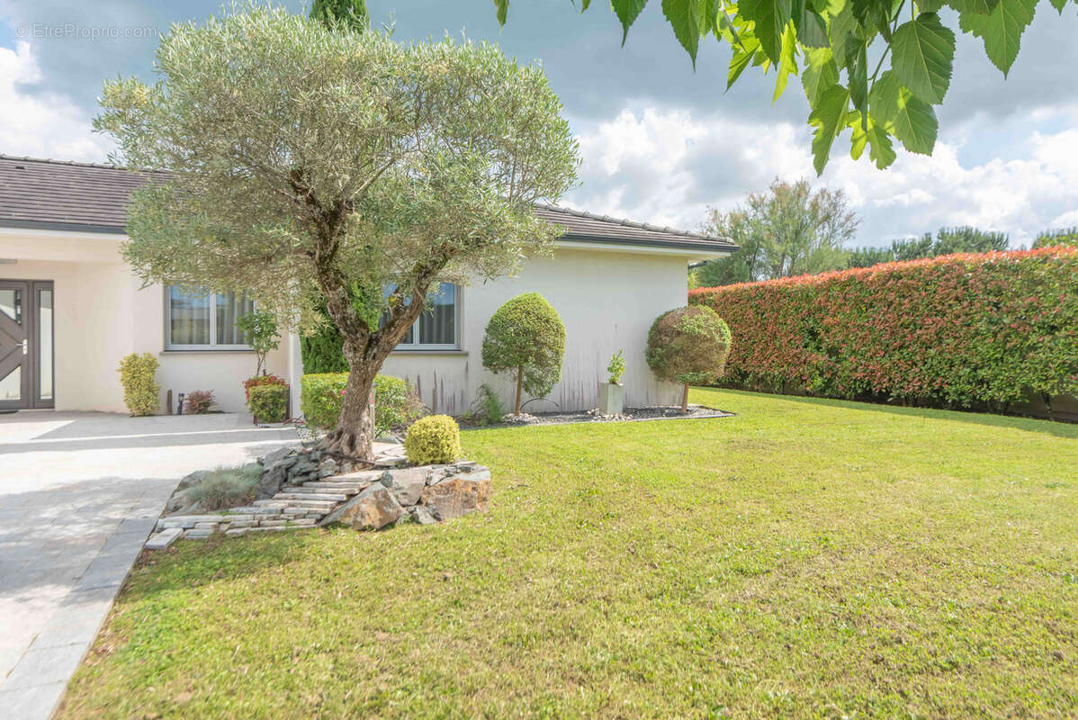 Maison à BOULIAC