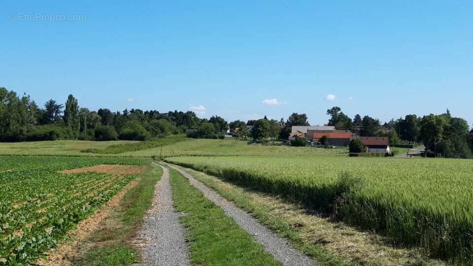 Terrain à BOULLAY-LES-TROUX