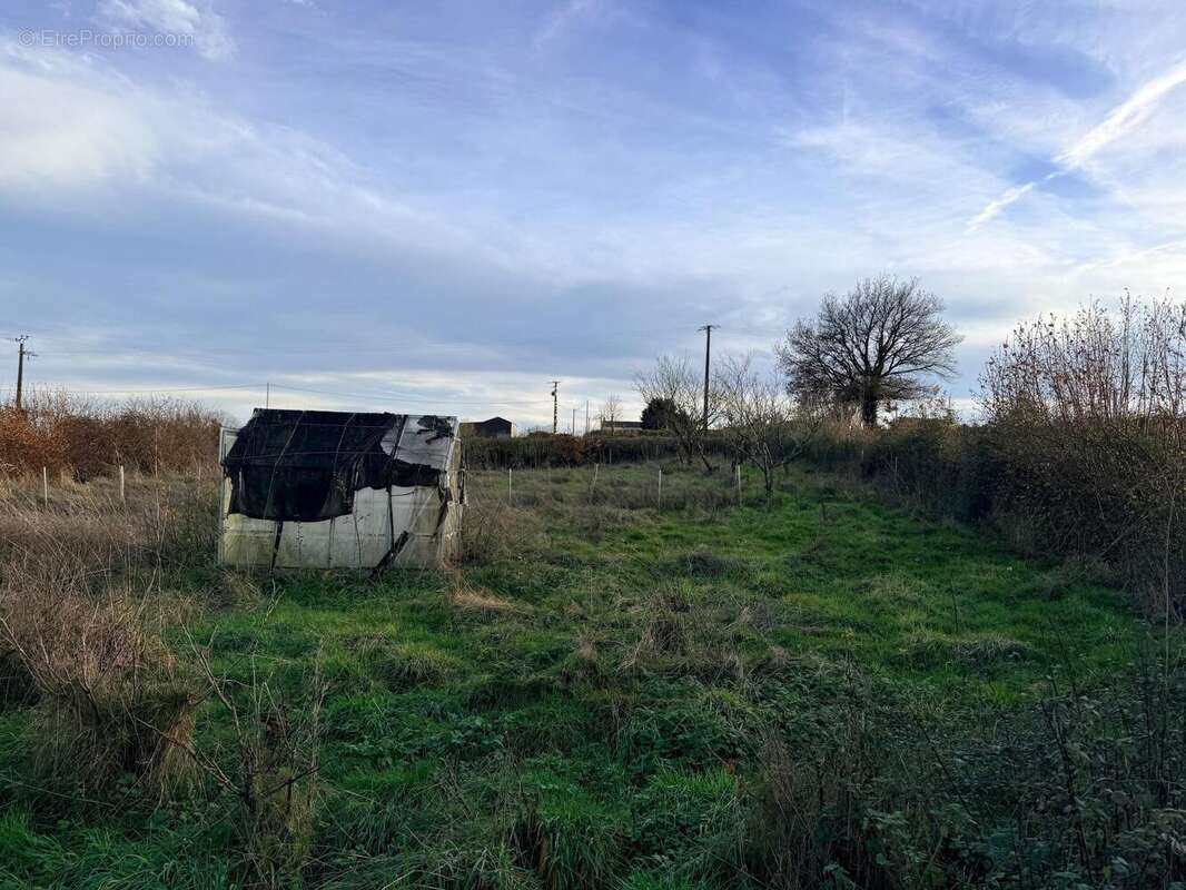 Photo 4 - Terrain à MONCOUTANT