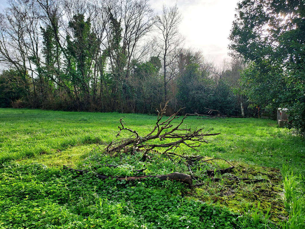 Terrain à LE CHATEAU-D'OLERON