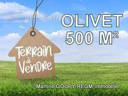 Terrain à OLIVET