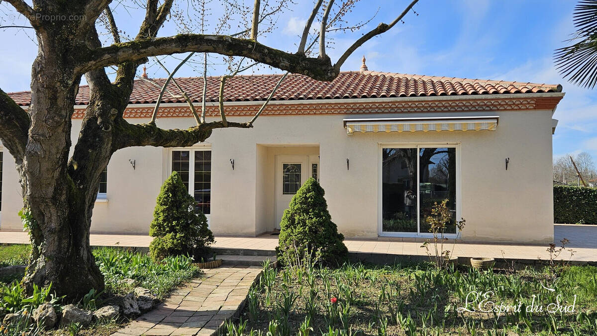 Maison à GAILLAC