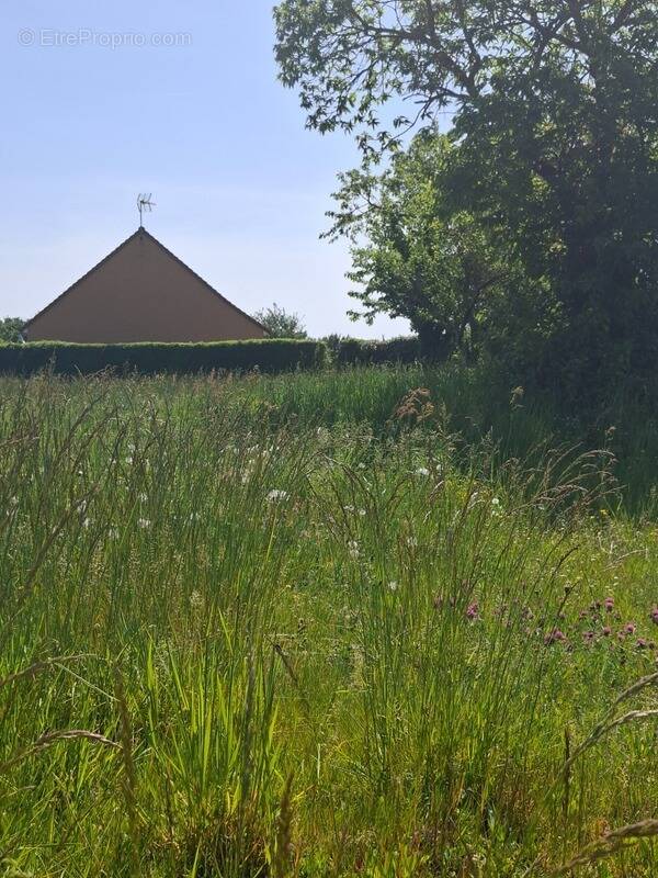 Terrain à FRESNAY-SUR-SARTHE