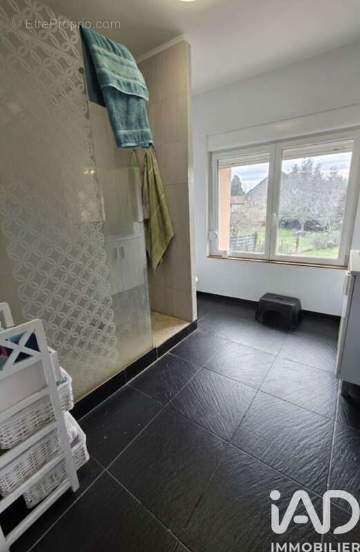 Photo 7 - Maison à CREUZIER-LE-VIEUX