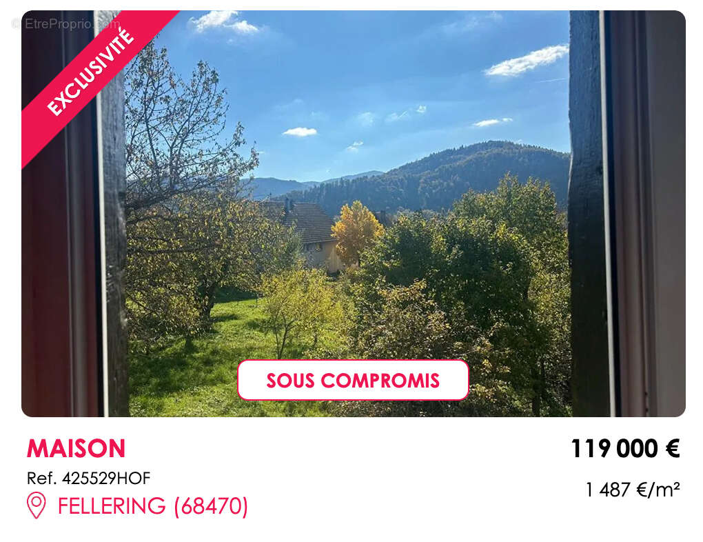 Spécial investisseurs , Saint-Amarin 68550, 7 pièces, 155 m2, terrain 5,8 ares - photo 3