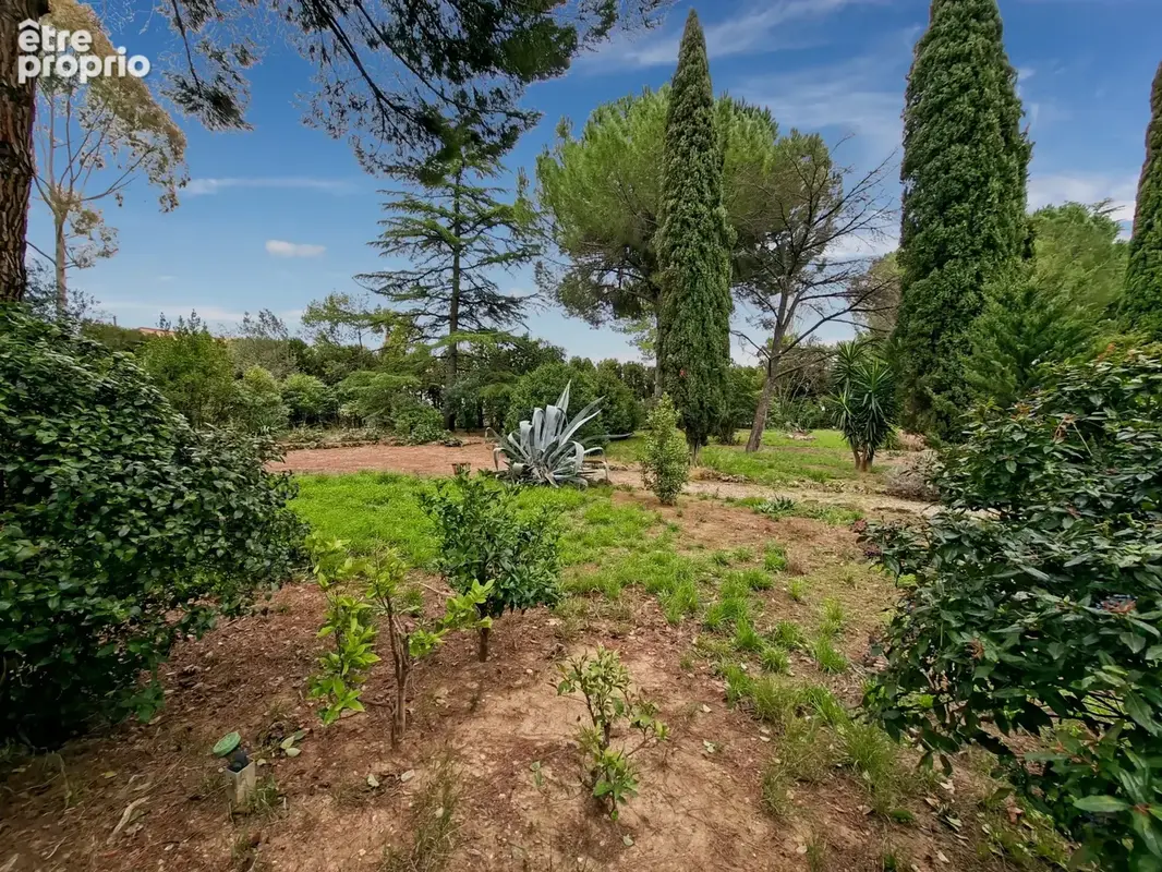 Cazouls-les-Béziers, superbe terrain constructible viabilisé de 455 m2 - photo 5