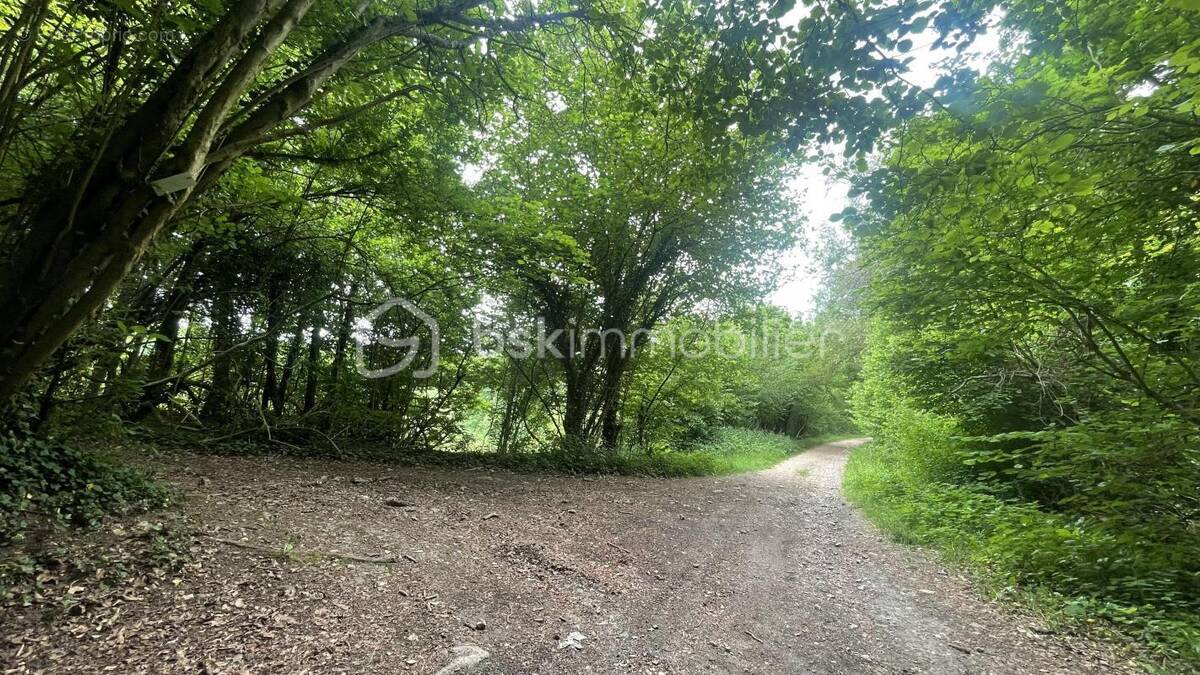 Terrain à ULLY-SAINT-GEORGES