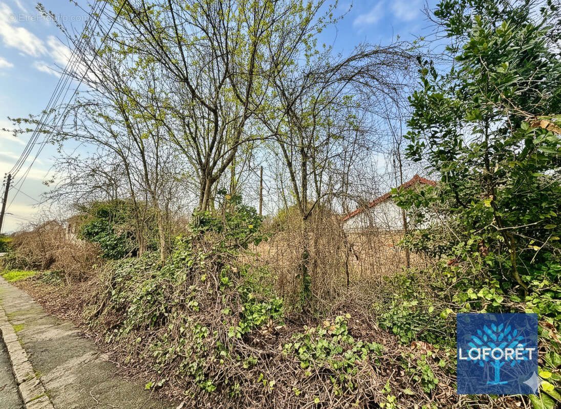 Terrain à CHILLY-MAZARIN