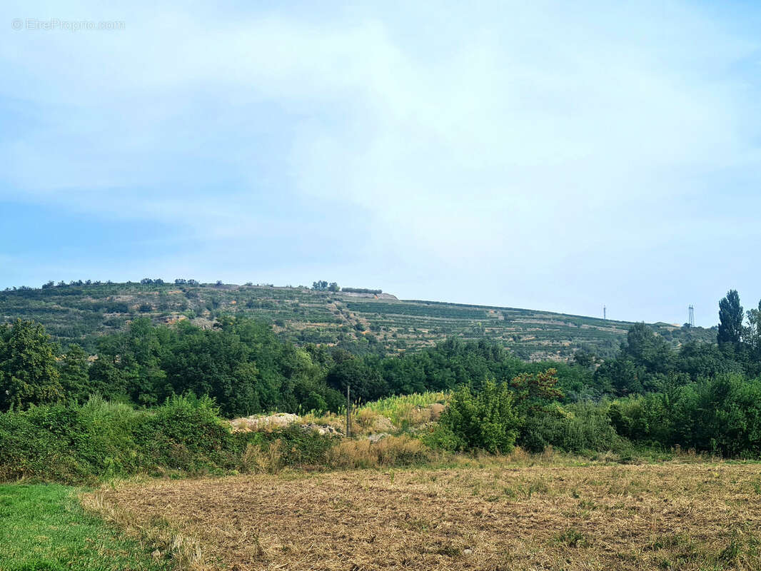 Appartement à TURCKHEIM