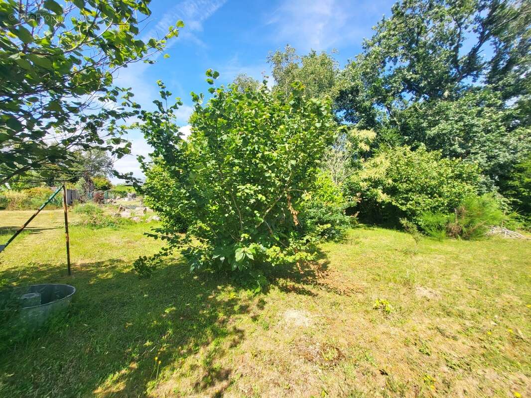 Terrain constructible à vendre  ARGOL (29) - photo 2