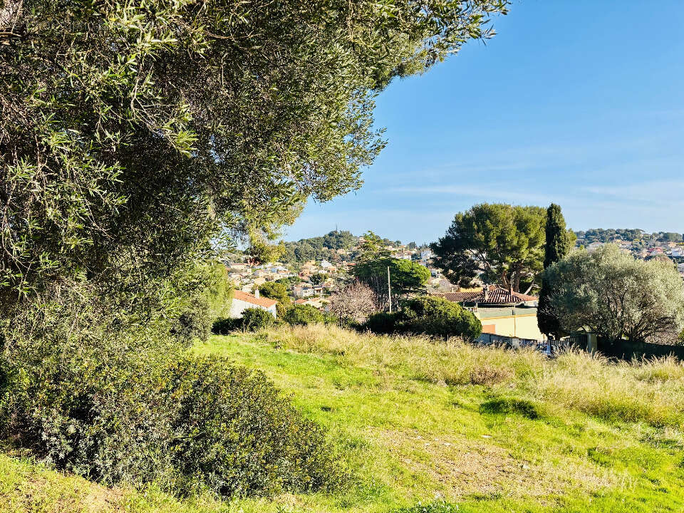 Terrain 678 m² à La Seyne-Sur-Mer  - photo 4