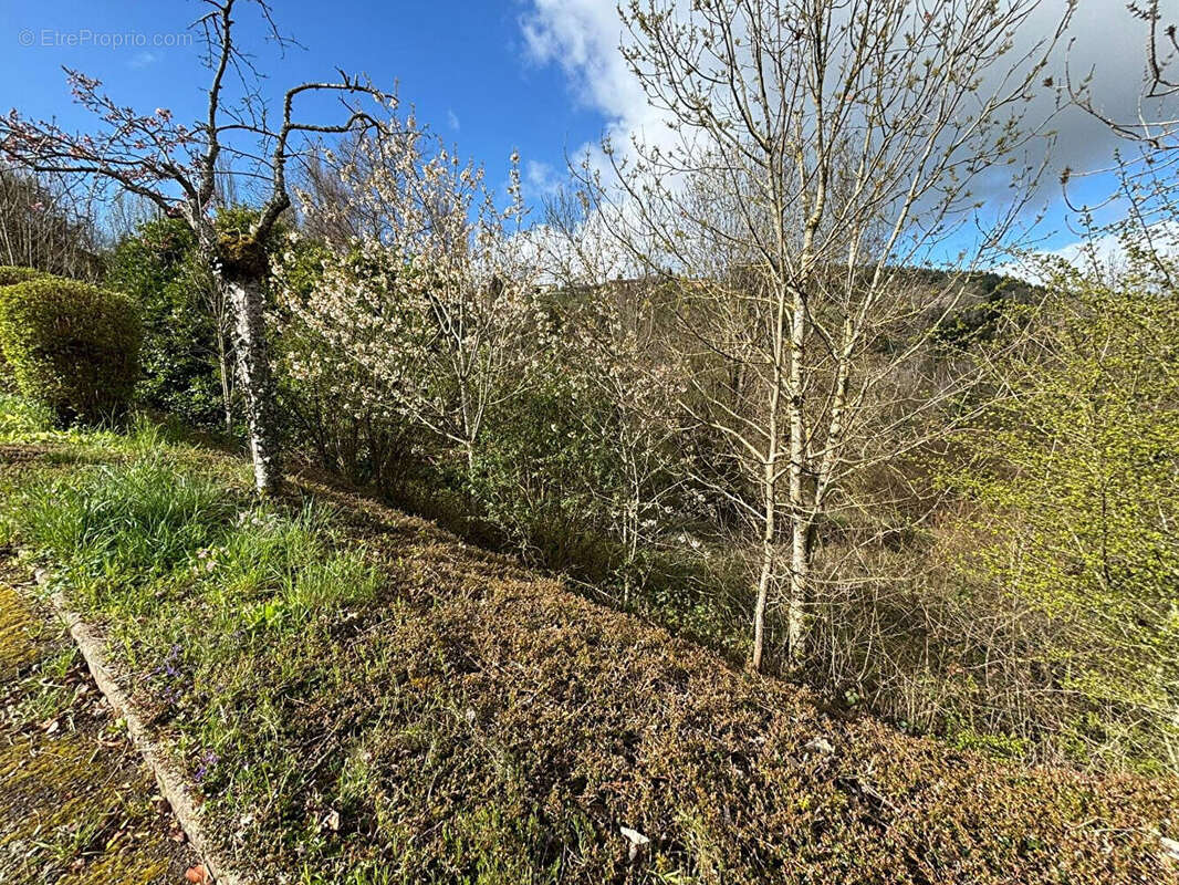 Terrain à THIZY
