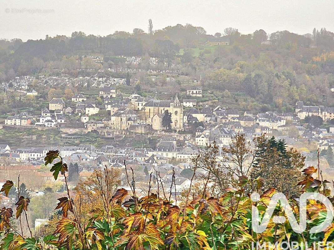 Photo 9 - Maison à TERRASSON-LAVILLEDIEU