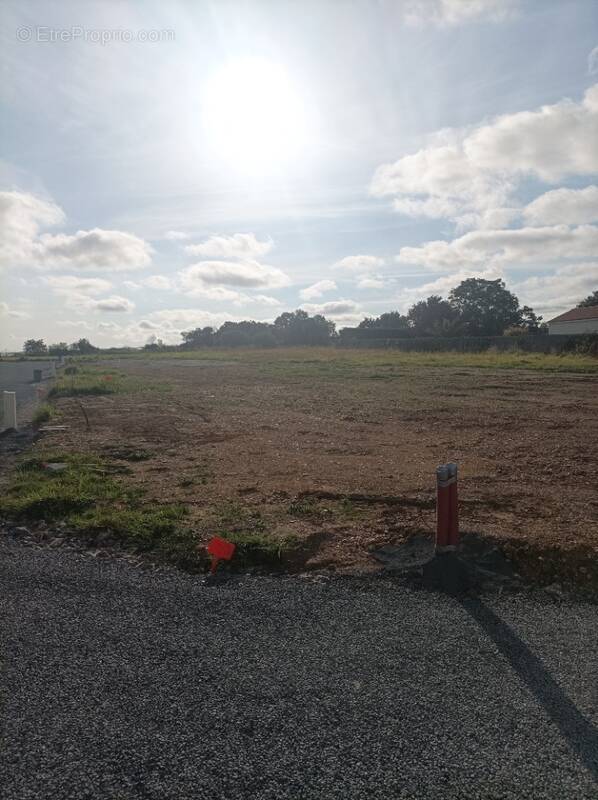 Terrain à SAINT-GERVAIS