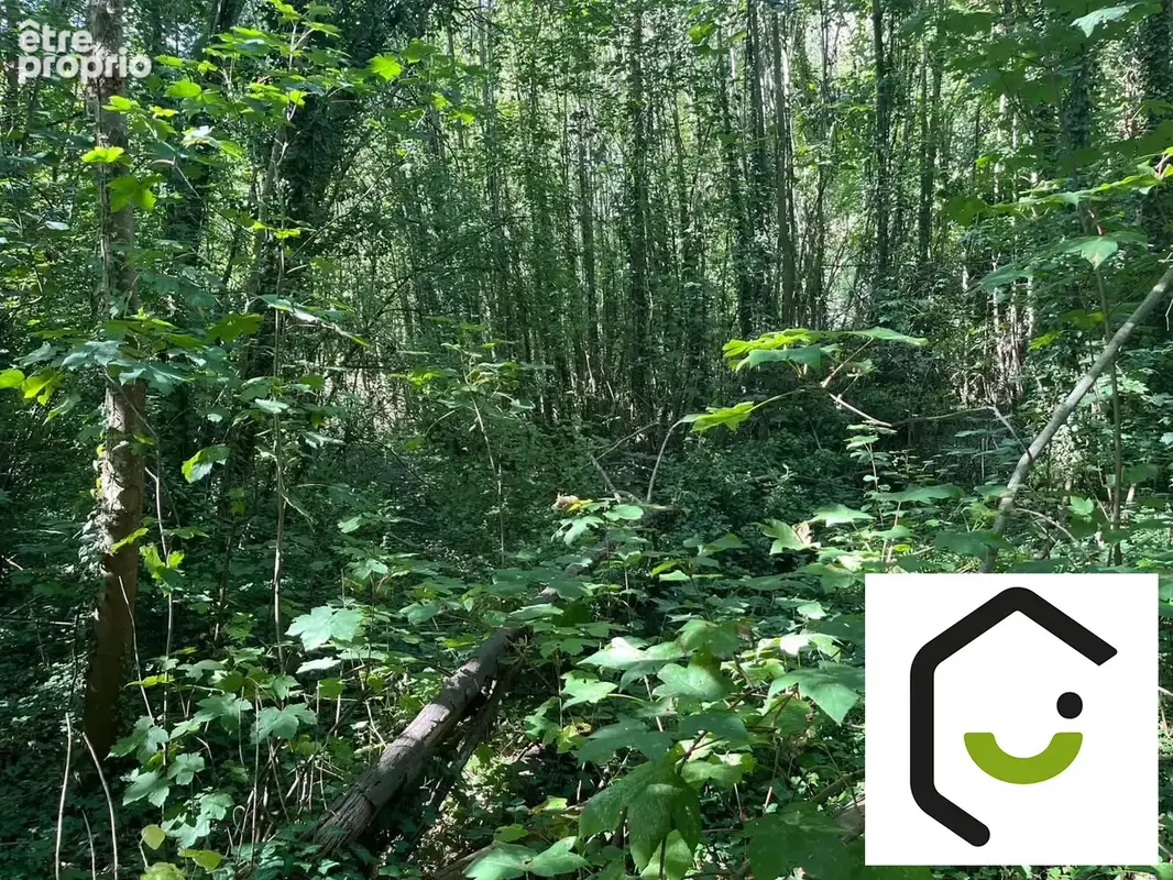 Terrain 2 438 m² à vendre à Montdidier (80500) - photo 4
