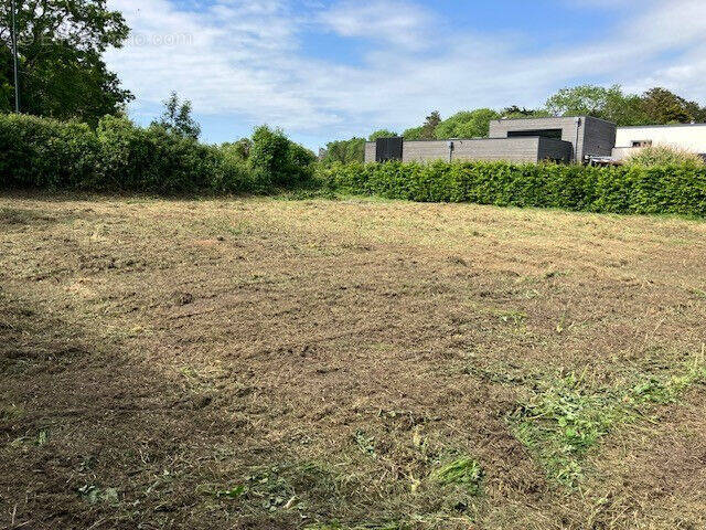 Terrain à AGON-COUTAINVILLE