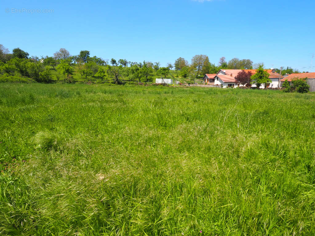 Terrain à BOUXURULLES