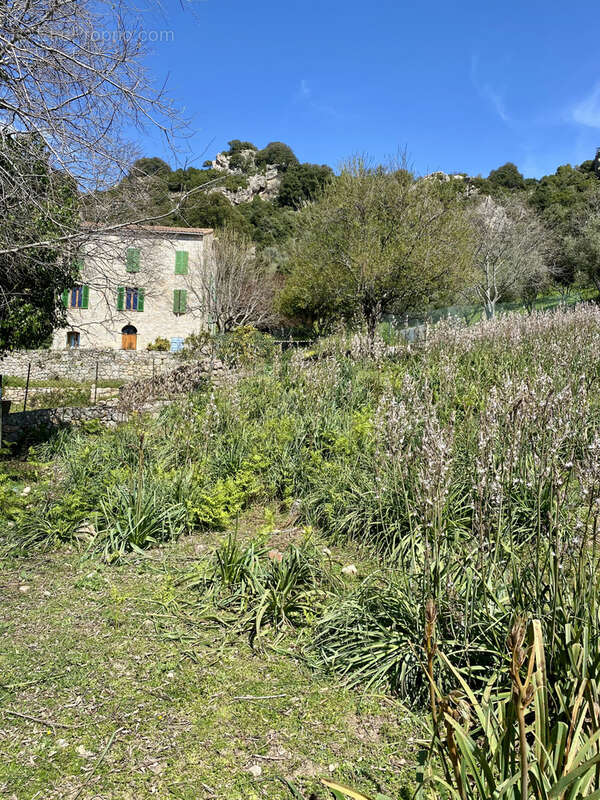 Terrain à PROPRIANO