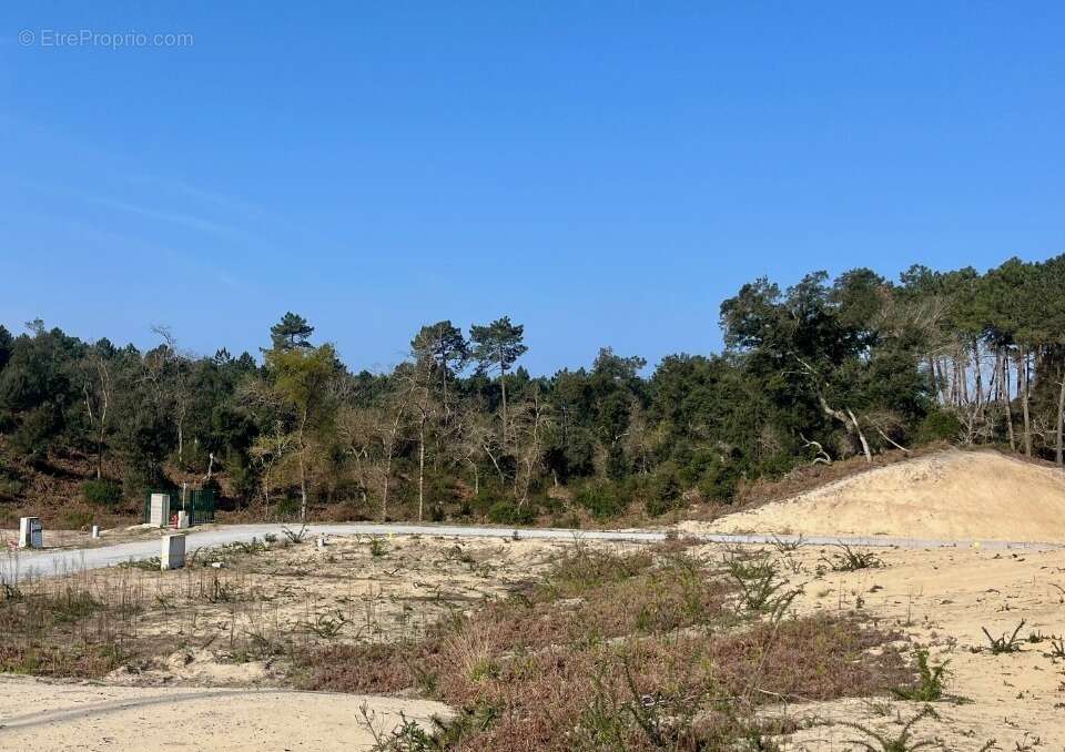 Terrain à LABENNE
