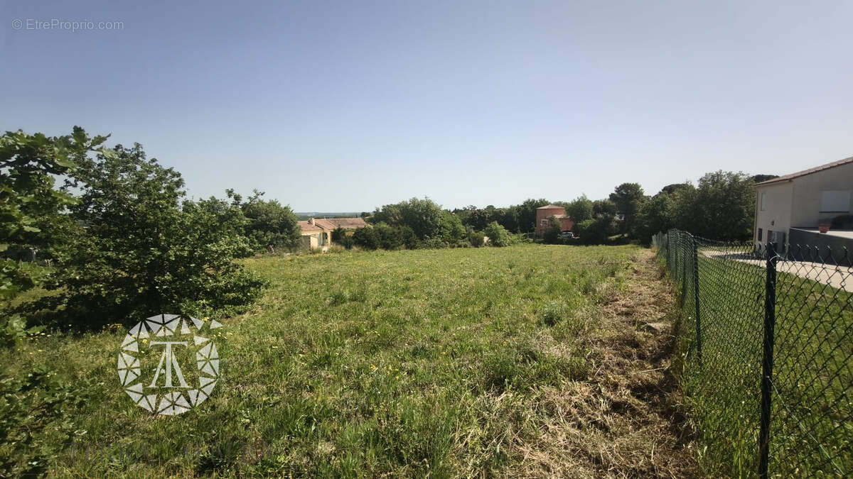 Terrain à MONTESQUIEU-DES-ALBERES