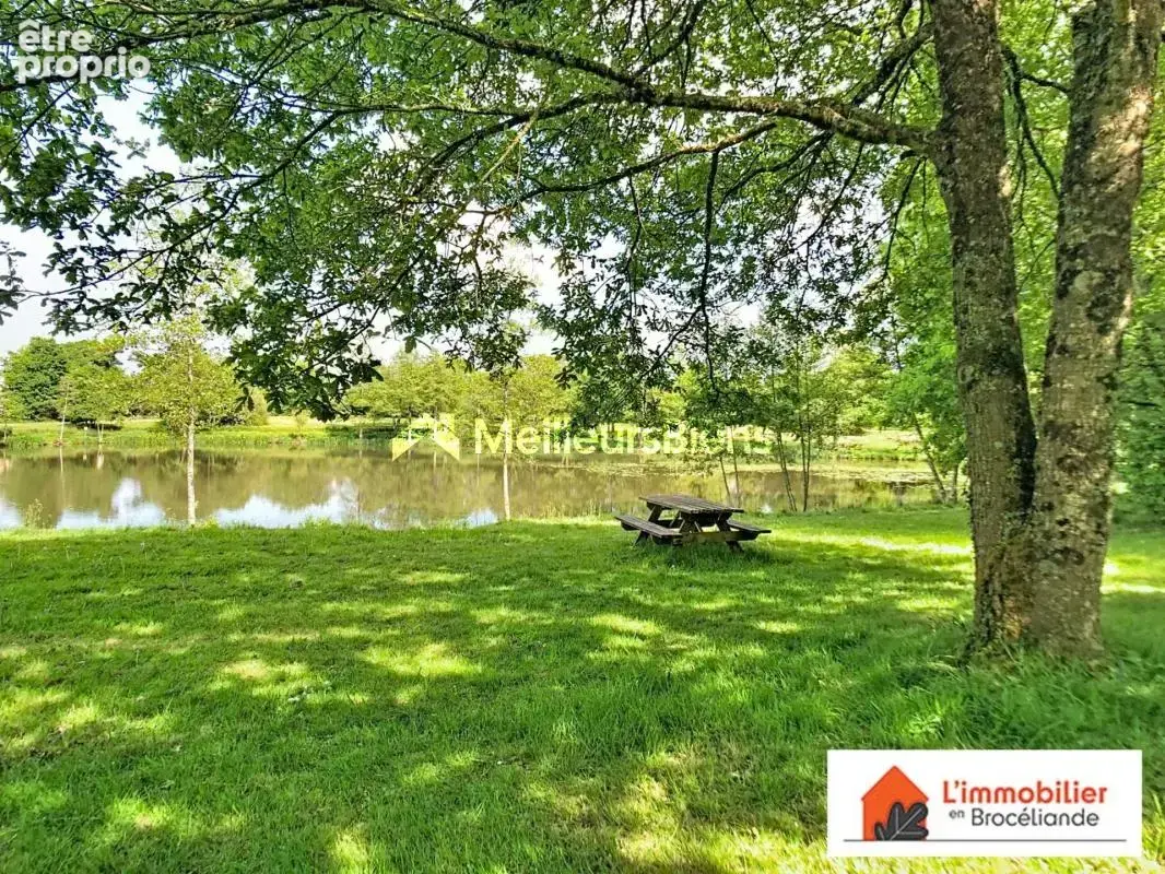 Maison familiale 5 chambres – calme, espace et nature à 30 min de Rennes - photo 7