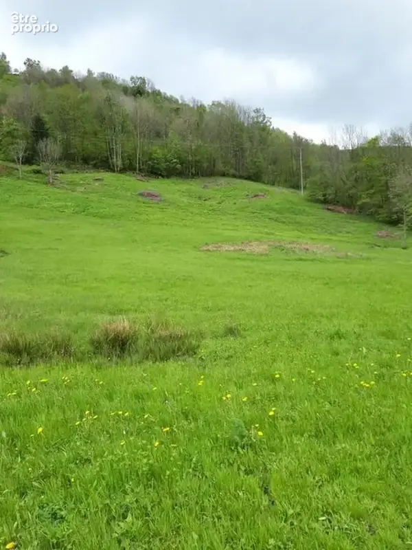 Grand terrain constructible - photo 2