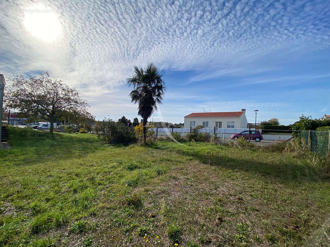 Terrain à LONGEVILLE-SUR-MER