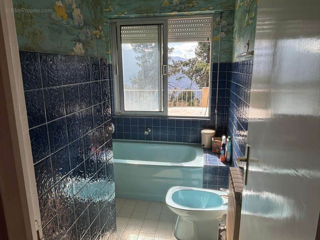 Maison 3 pièces à vendre à Piano (Haute Corse) — 83,25 m2 sur terrain de 2 230 m2 - photo 9