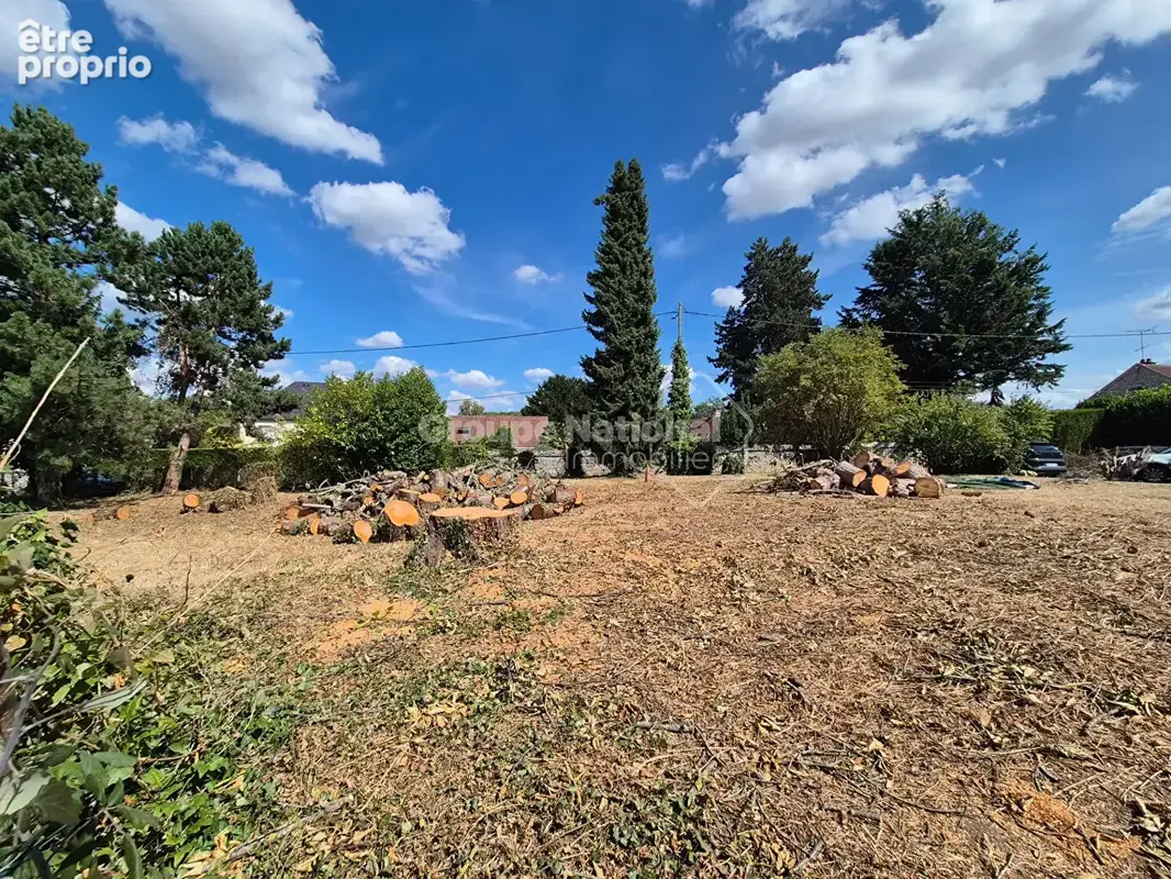 Noailles - terrain -  681 m2 -  facade 60 m - photo 3