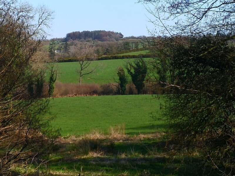 cadre bucolique pour cet authentique corps de ferme en pierre sur 10 hectares  Idéal équestre & agricole - photo 2