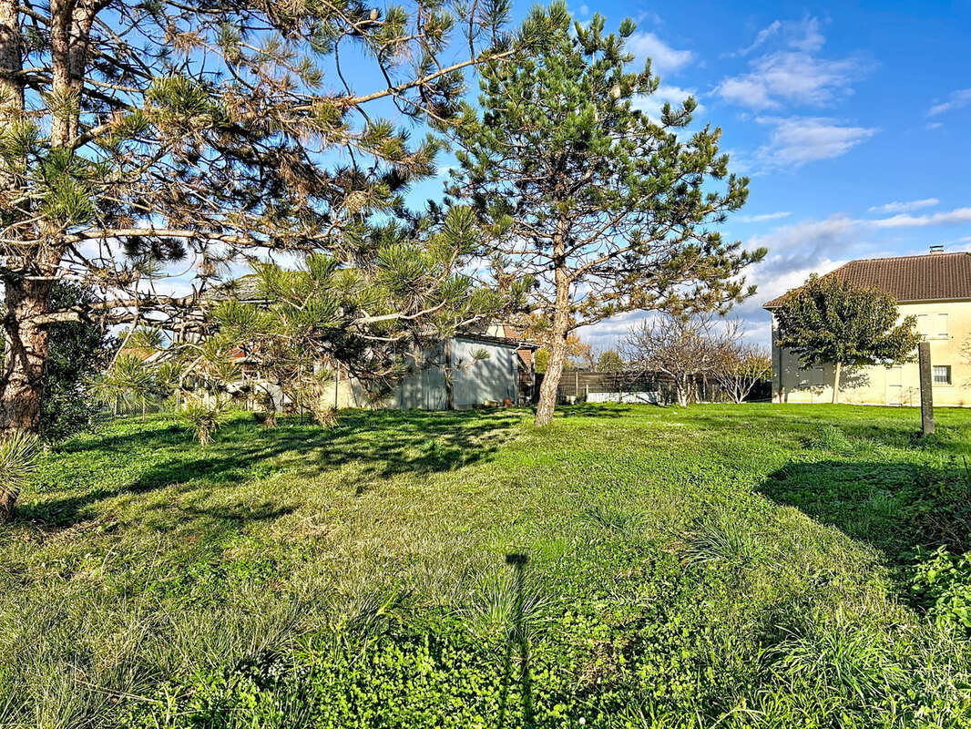 Terrain à SAINT-PANTALEON-DE-LARCHE