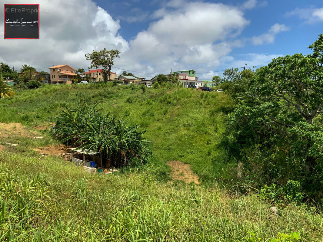 Terrain à SAINTE-MARIE