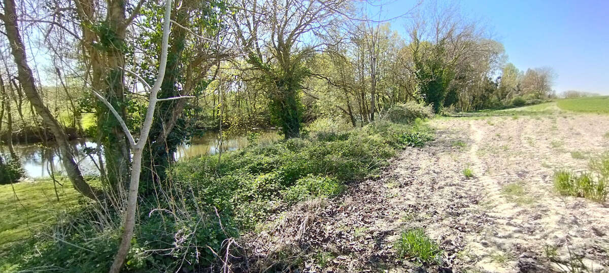 Terrain à MARTIZAY