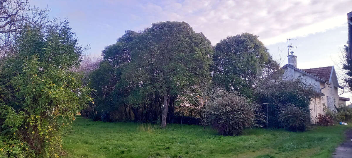 Maison à SAINT-GIRONS-D'AIGUEVIVES