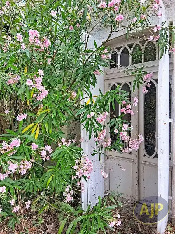 Maison Vertheuil - photo 4