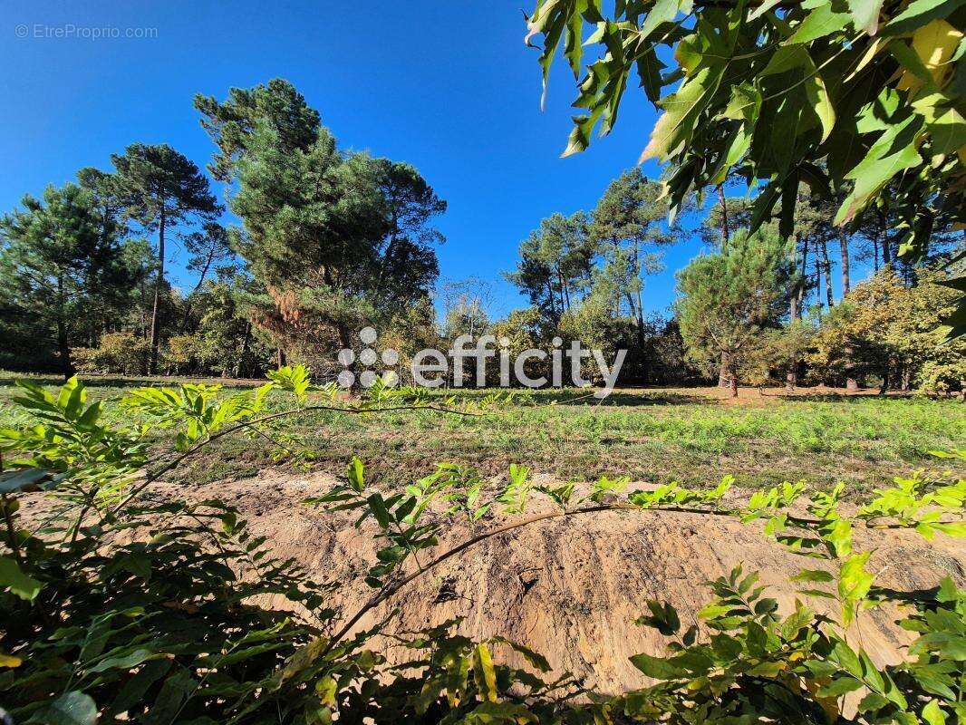 Maison à SAINT-JEAN-D&#039;ILLAC