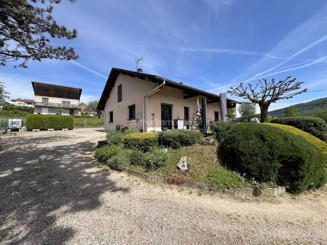 Maison à BELLEY
