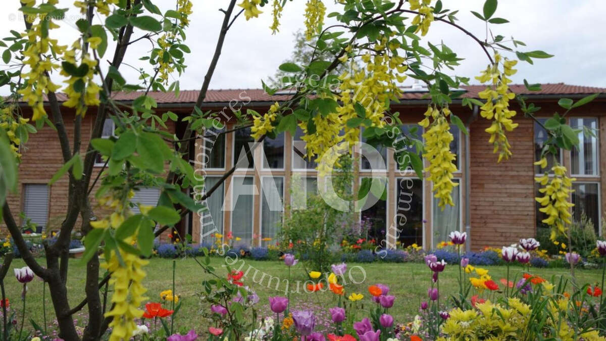 Maison à NEYRON