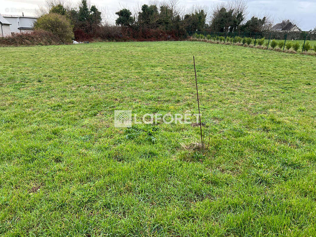 Terrain à bâtir Pleubian 1800 m2 - photo 2