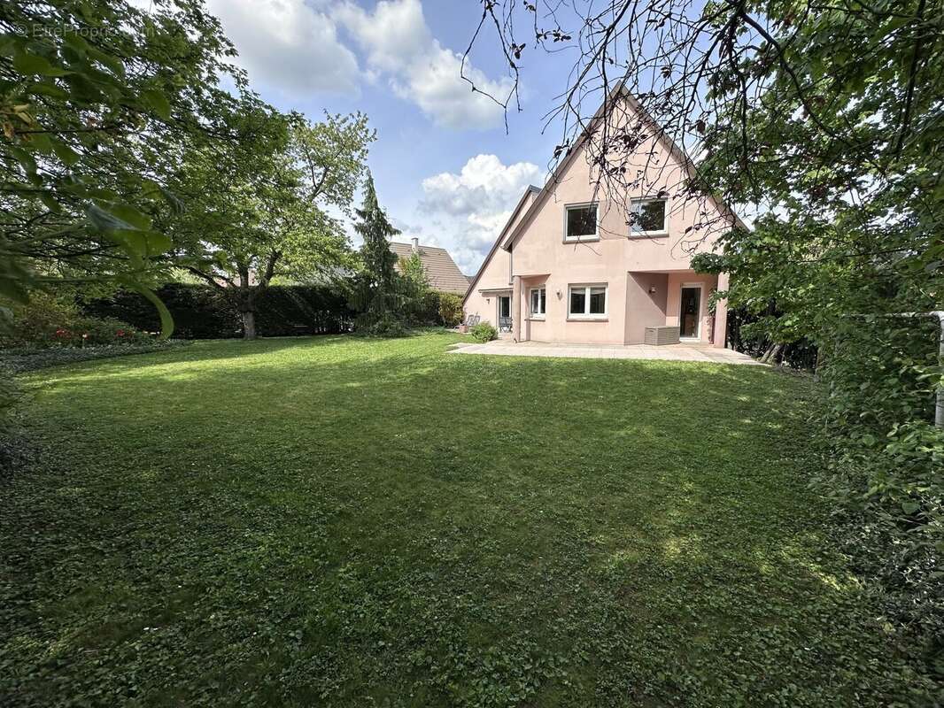 Jardin - Maison à HOENHEIM