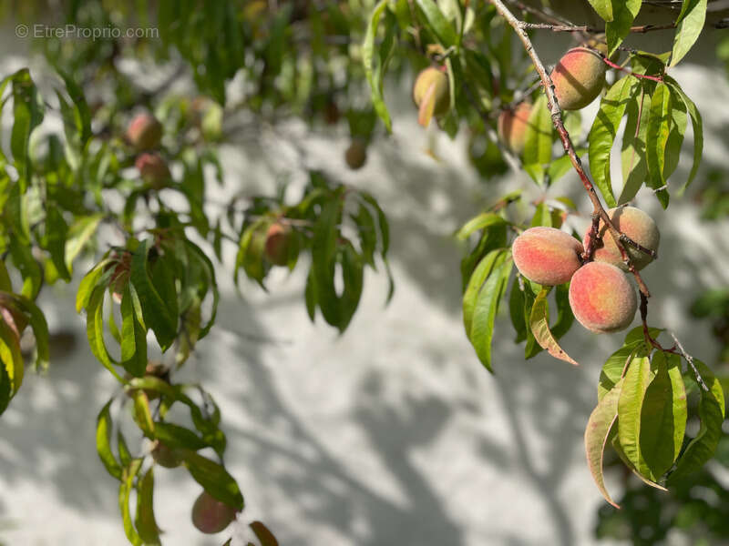 Maison à SAINT-GERVAIS