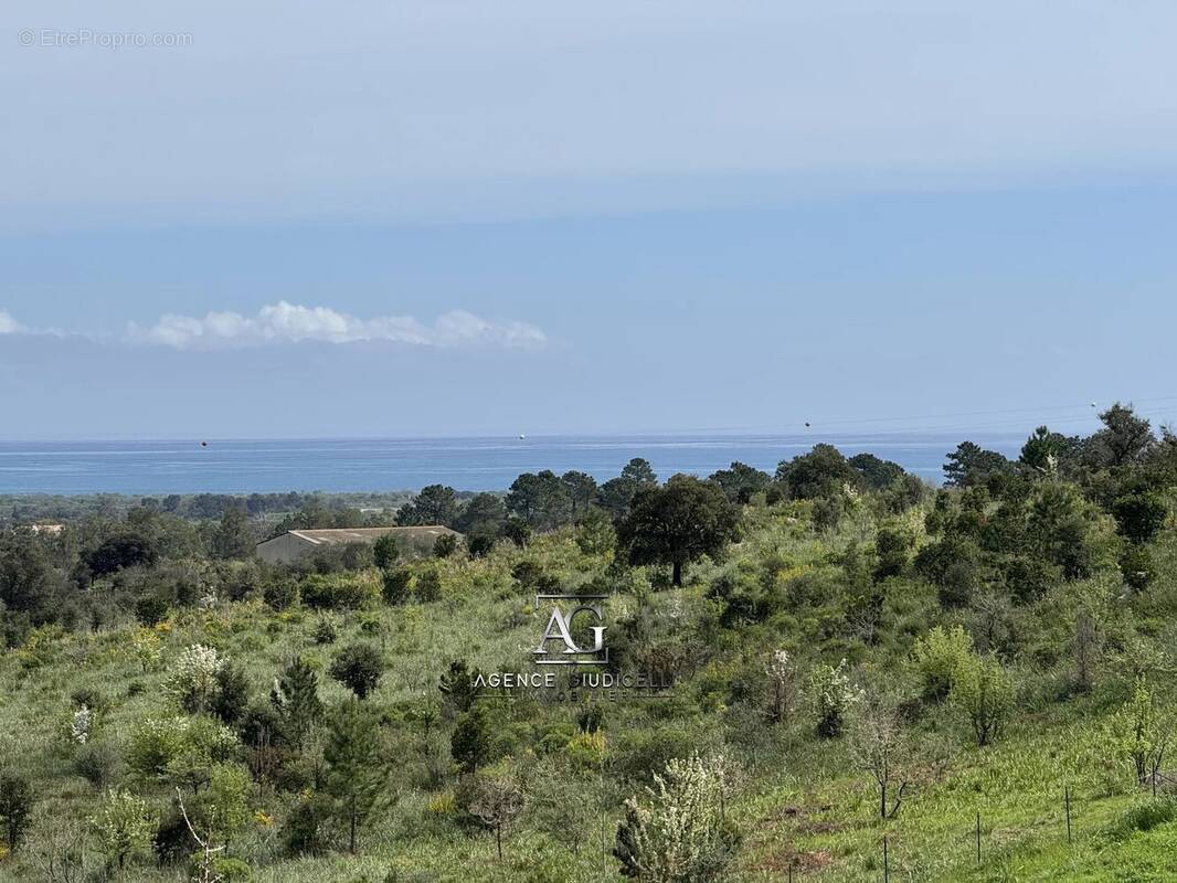 Terrain à SOLARO