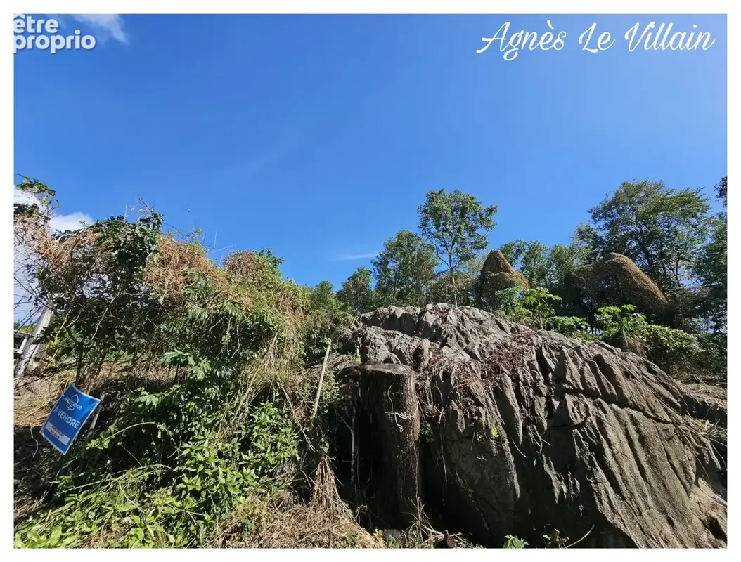 Terrain Vue Mer Grosses Roches de 1 041 m2 - photo 5
