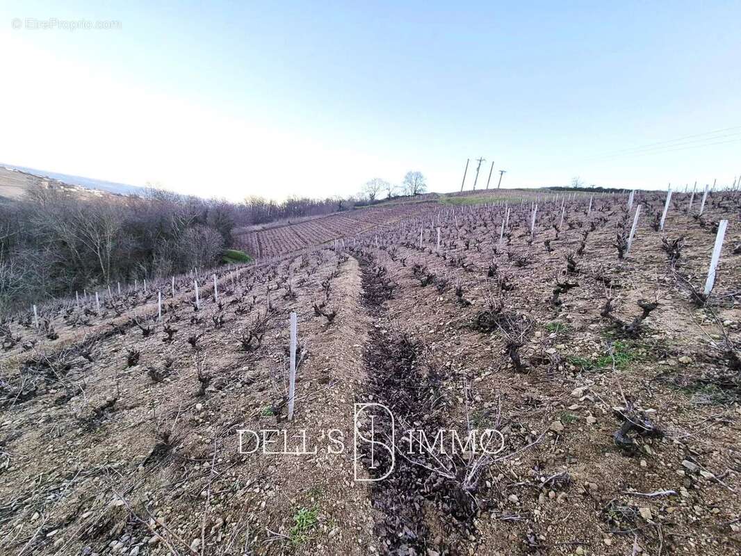 Terrain à VILLIE-MORGON